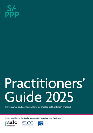 Practitioners' Guide 2025